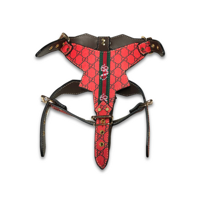 GG Rockstar Red Harness & Leash Rare Set