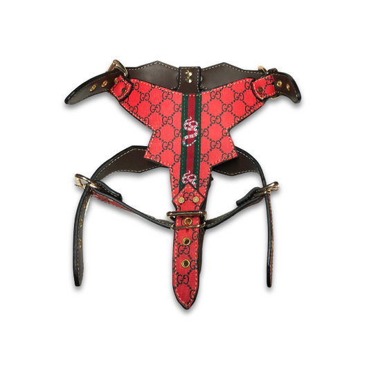 GG Rockstar Red Harness & Leash Rare Set