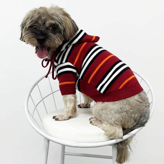Happy Hoodie For Dogs