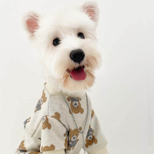 Big Dog Fresh Sweater