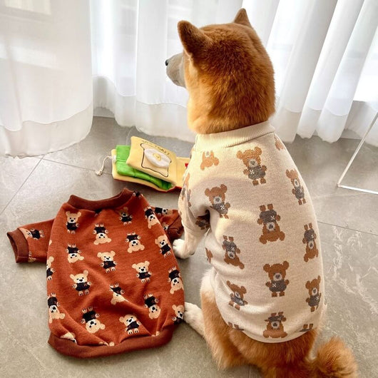 Big Dog Fresh Sweater