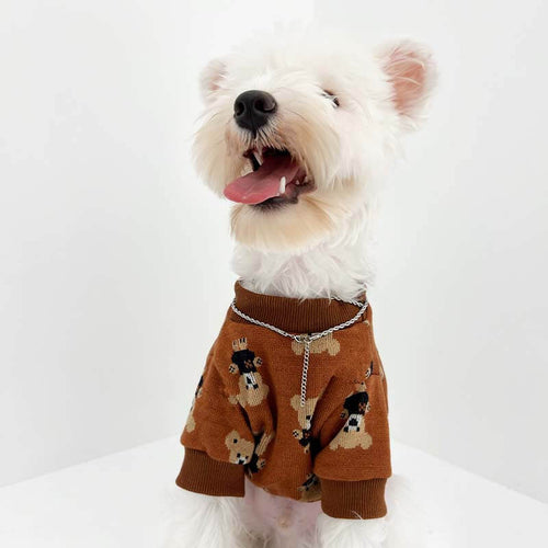 Big Dog Fresh Sweater