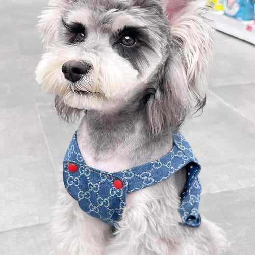 Blue Dog Puppy Edgy Clothes