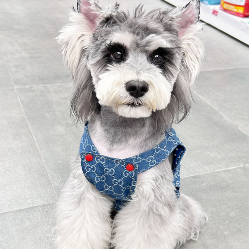Blue Dog Puppy Edgy Clothes