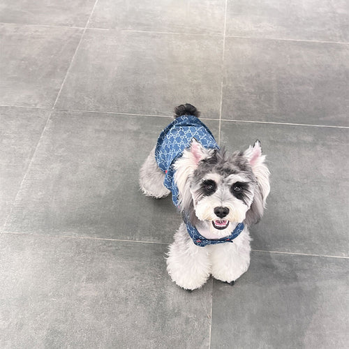 Blue Dog Puppy Edgy Clothes