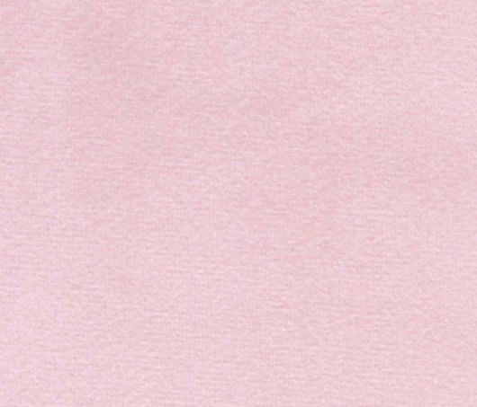 Blush Pink Velvet Dog Collar