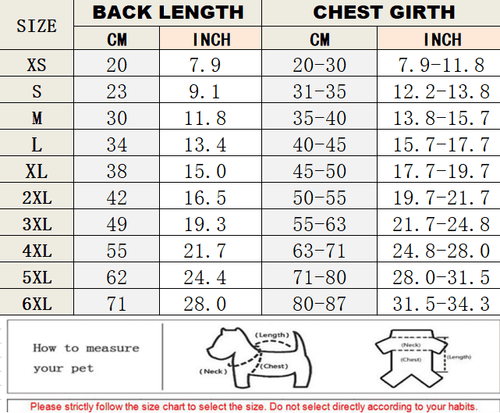 Big Dog Bubbly Sweater