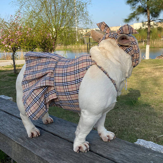 High Quality Dog Dusty Dress