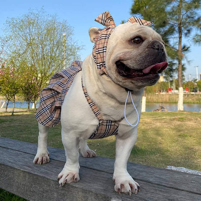 High Quality Dog Dusty Dress