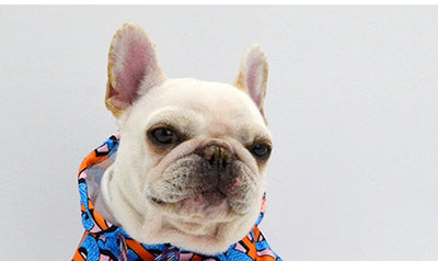 Blue Dog Lit Hoodie