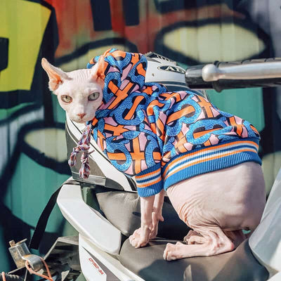 Blue Dog Lit Hoodie