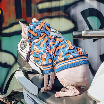 Blue Dog Lit Hoodie