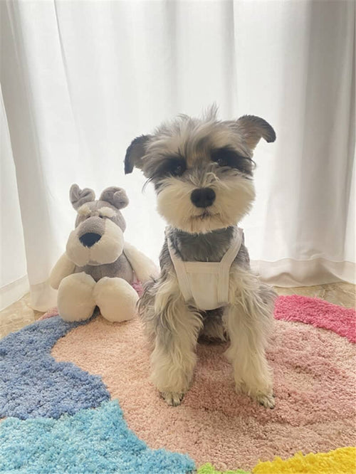 Dogs Summer Feel Tank Top