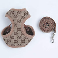 GG Harness & Leash Fire Set