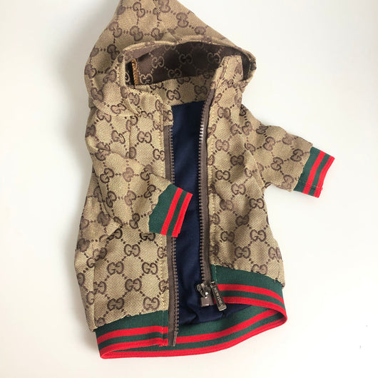Zoi Dog Juiced Jacket