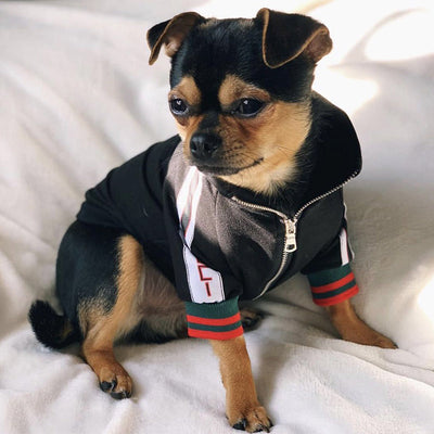 GG Stripe Doggo Fly Jacket