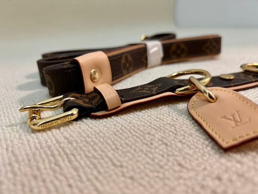 Amelia Dog Collar & Backspin Leash