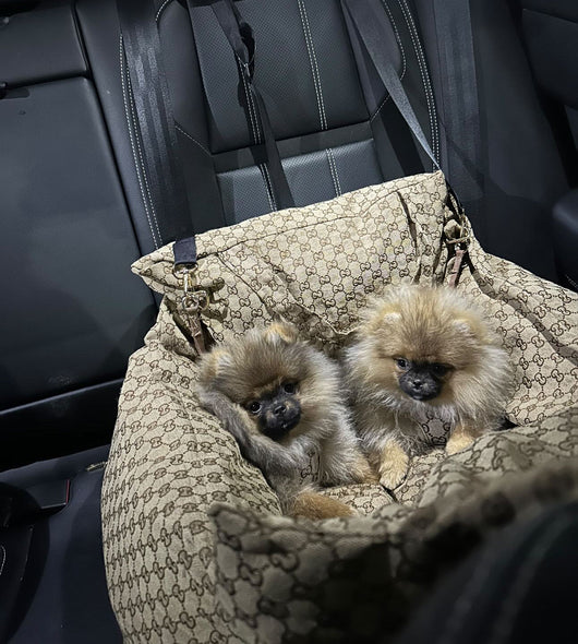 GG Dog Car Seat For  Dogs