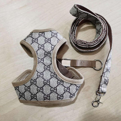 Amarillis Harness And Throwie Leash