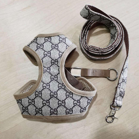 Amarillis Harness And Throwie Leash