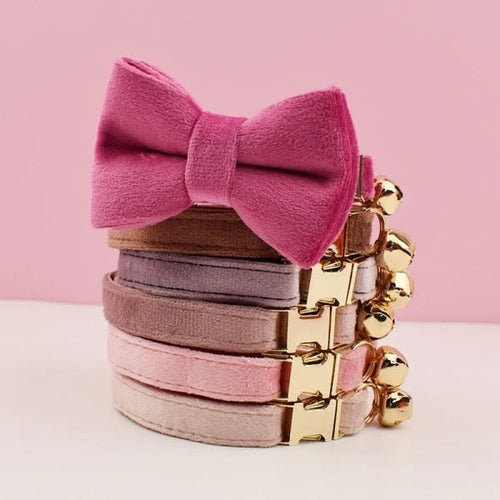 Velvet Charme Collars And Bow Fresh Ties