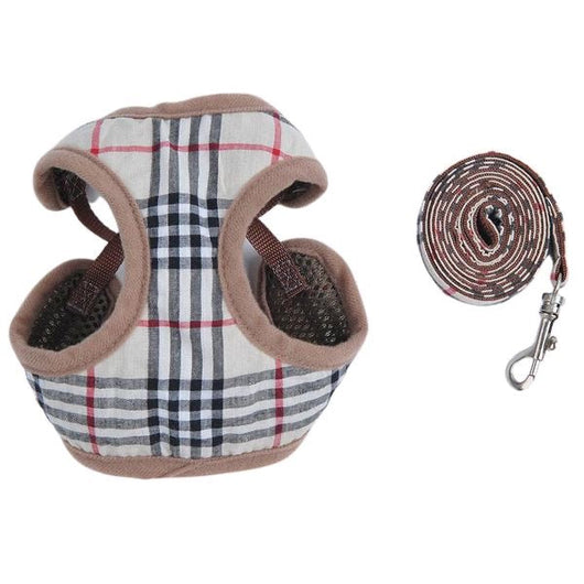 Zuma Harness & Leash Retro Set