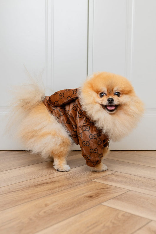 GG Jacket Warped Ears