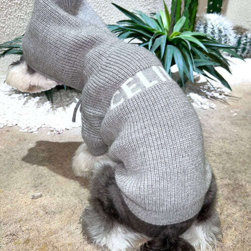Grey Dog Sweaters With Timeless Hoody