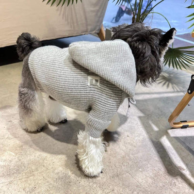 Grey Dog Sweaters With Timeless Hoody