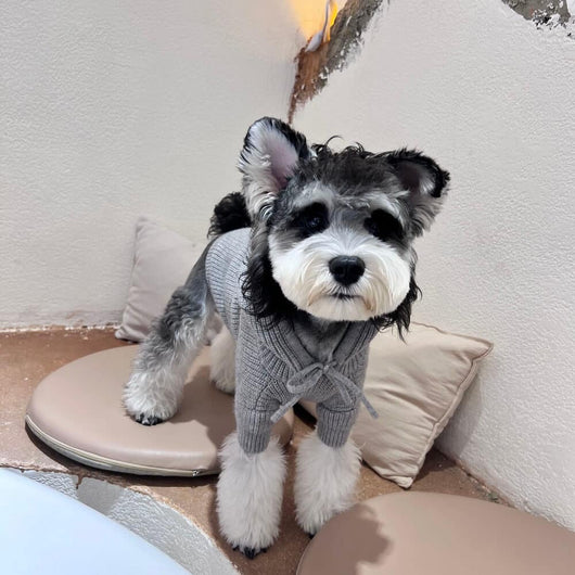Grey Dog Sweaters With Timeless Hoody