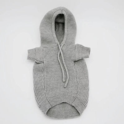 Grey Dog Sweaters With Timeless Hoody