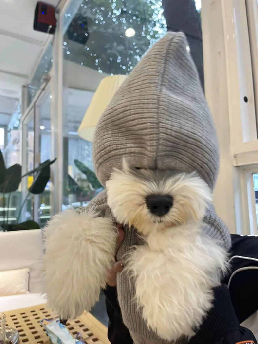 Grey Dog Sweaters With Timeless Hoody