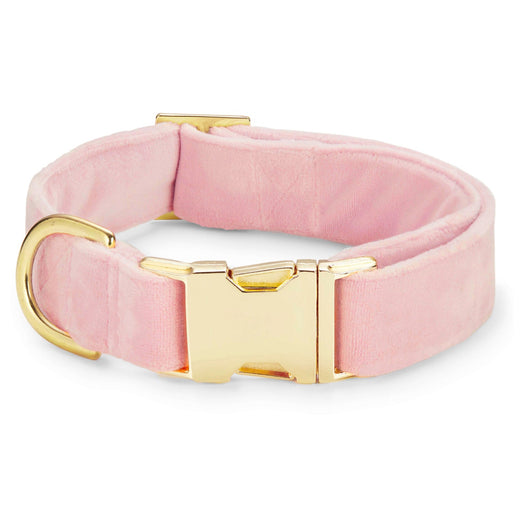 Blush pink velvet dog collar with gold hardware for stylish comfortable pet walks
