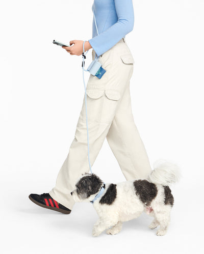 Hands-Free Dog Leash Walking Set