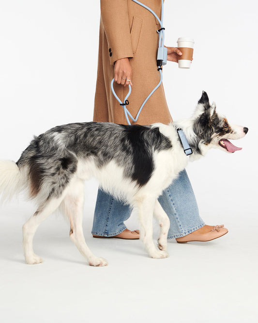 Hands-Free Dog Leash Walking Set
