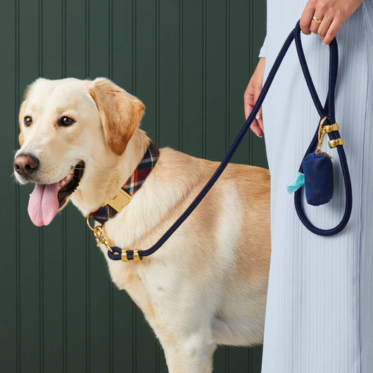 Ocean Blue Nylon Rope Dog Leash