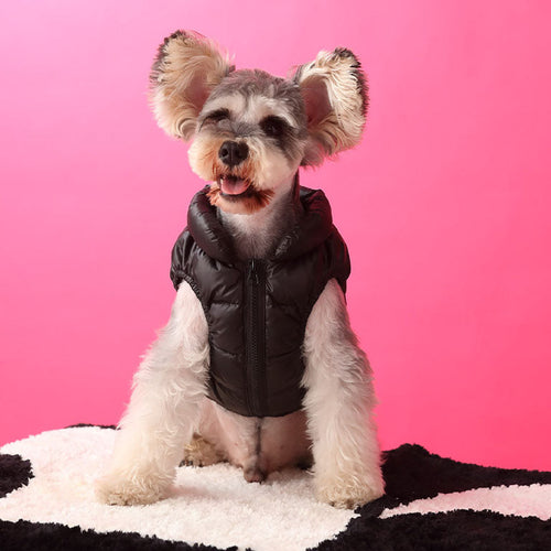 Black Dog Down Jacket Posh Vest