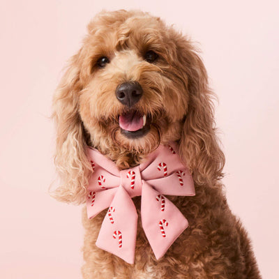Candy Cane Dog Bow Tie