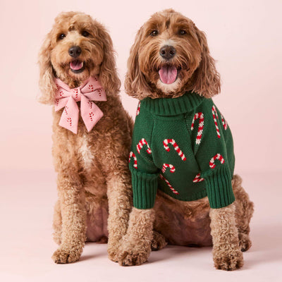 Candy Cane Dog Bow Tie