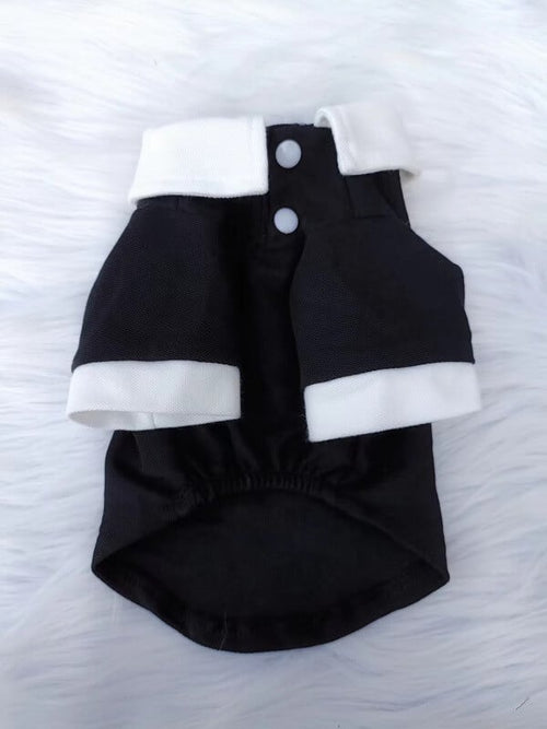 Dogs Chic Designer Redux Clothes