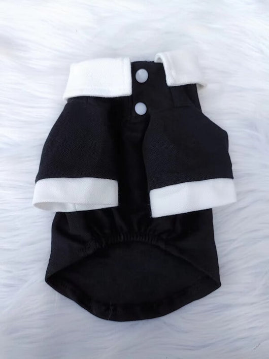 Dogs Chic Designer Redux Clothes