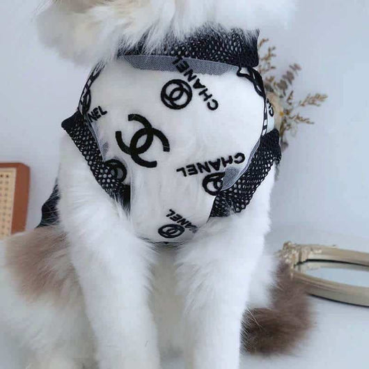 Designer Cat Adorable Clothes