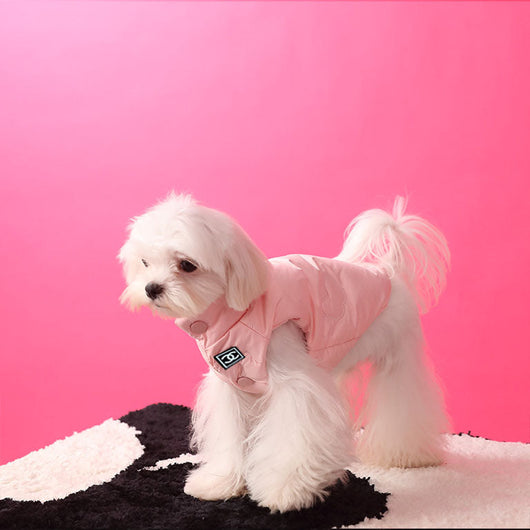 Down Pink Yellow Edgy Jacket For Dog