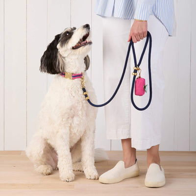 Ocean Blue Nylon Rope Dog Leash