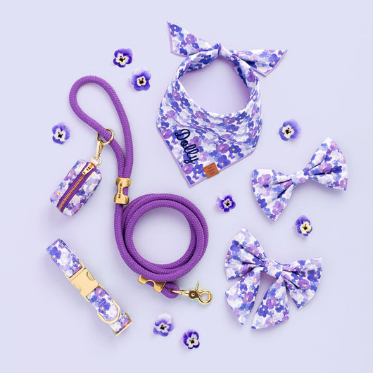 Pressed Pansies Walk Set
