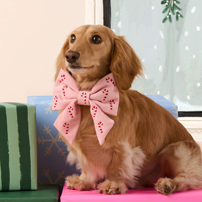 Candy Cane Dog Bow Tie