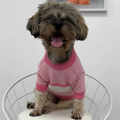 Dog Next Sweater