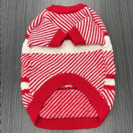 Dog Next Sweater