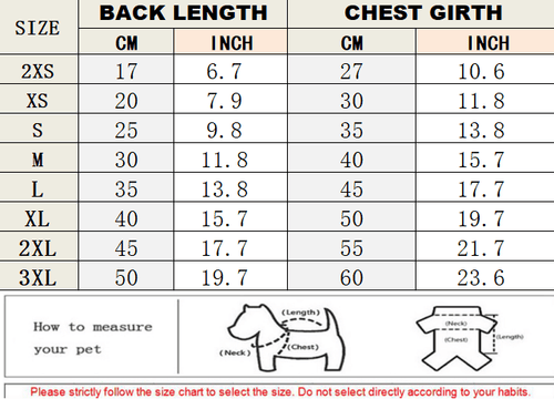 Cute Small Dog Heritage Clothes