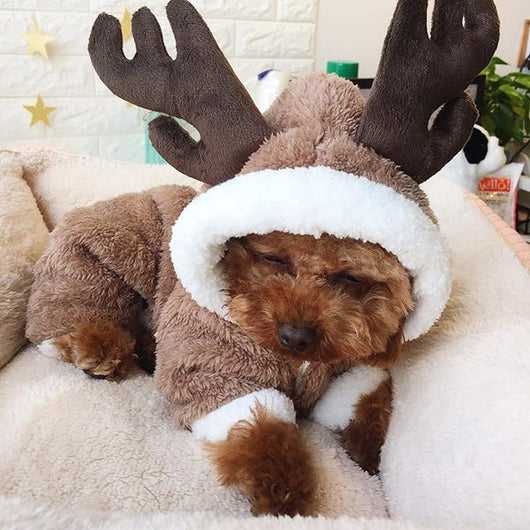 Cozy Reindeer Hooded Vibrant Sweater
